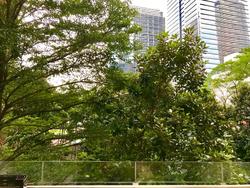 Icon (D2), Apartment #157165142